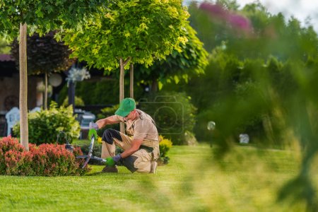 Jardinero profesional que realiza el mantenimiento del paisaje recortando plantas con la herramienta de jardinería de las tijeras del jardín.