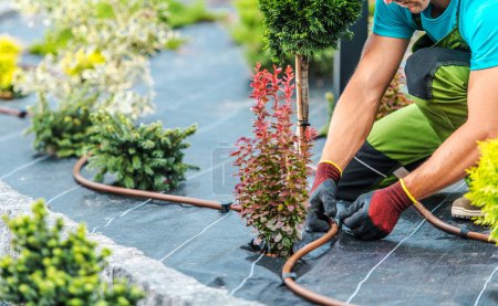 Photo for Drip Irrigation System Building by Professional Landscaper Inside Newly Developed Back Yard Garden. Landscaping and Gardening Technologies. - Royalty Free Image
