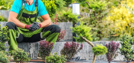 Photo for Professional Landscaper Proudly Sitting in the Middle of Beautifully Landscaped Backyard Garden After Finishing Work. - Royalty Free Image