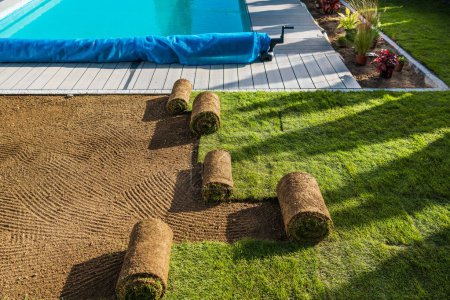 Photo for Residential Backyard Garden Poolside Natural Grass Turfs Reinstallation During Spring Time - Royalty Free Image
