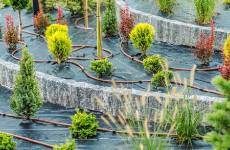 Téléchargez les photos : Aménagement paysager thème de l'industrie. Système d'irrigation goutte-à-goutte pour jardin nouvellement construit. - en image libre de droit