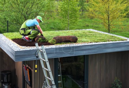 Foto de Jardinero caucásico profesional edificio Sedum techo verde en la parte superior de un cobertizo moderno - Imagen libre de derechos