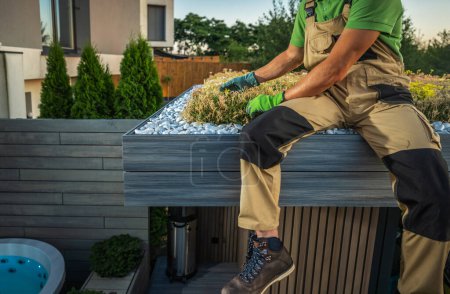 Téléchargez les photos : Jardinier regardant de près son projet de toit vivant Sedum tout en s'asseyant sur un bord de toit - en image libre de droit