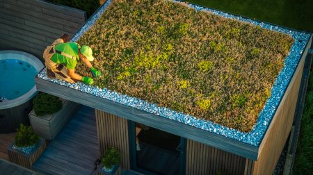 Téléchargez les photos : Homme caucasien prenant soin d'un toit vivant. Projet de remise de jardin de toit de Sedum vert. - en image libre de droit