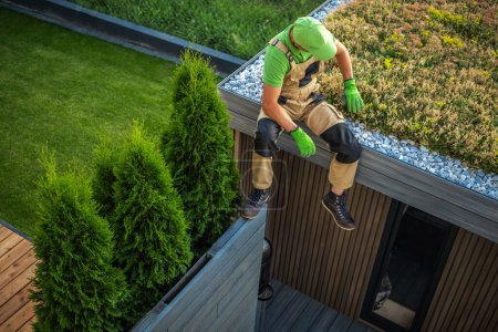 Téléchargez les photos : Bâtiment paysagiste professionnel toit vivant sur un abri de jardin - en image libre de droit