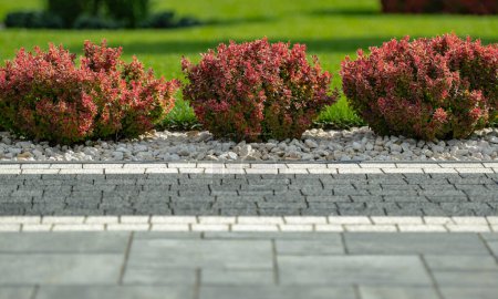 Photo for Elegant Modern Concrete Bricks Driveway and Some Decorative Plants Close Up - Royalty Free Image