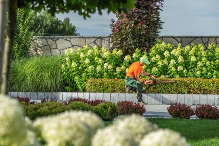 Foto de Jardinero Trabajador que forma las plantas del patio delantero usando cortador eléctrico inalámbrico del seto - Imagen libre de derechos