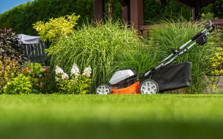 Modern Cordless Battery Powered Grass Mower in the Colorful Mature Garden
