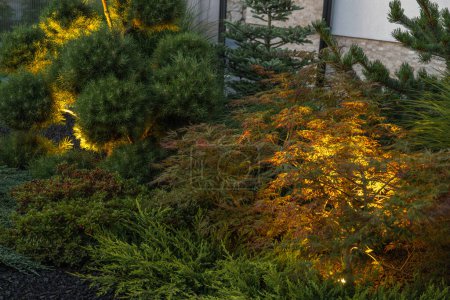 Photo for Back Yard Garden Landscape Illuminated by Modern LED Lighting - Royalty Free Image