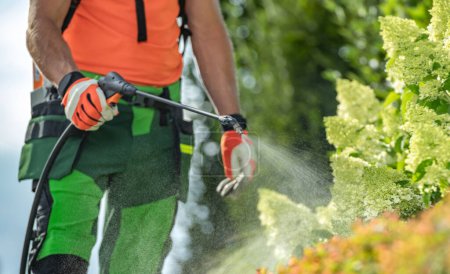 Téléchargez les photos : Insecticide et fongicide sur des plantes de jardin à l'aide d'équipement de jardin professionnel - en image libre de droit
