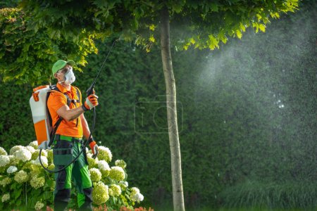 Téléchargez les photos : Jardinier professionnel utilisant un pesticide, un insecticide ou un fongicide sur un arbre de jardin. - en image libre de droit