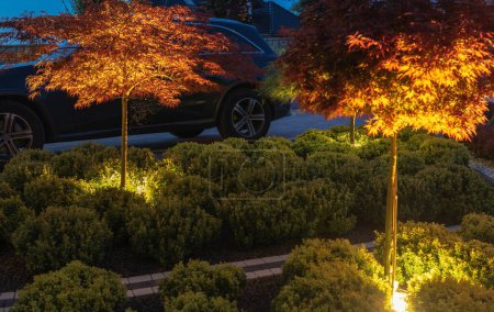 Téléchargez les photos : Beau jardin de cour avant et l'allée éclairée par un éclairage LED moderne. Architecture résidentielle de nuit. - en image libre de droit