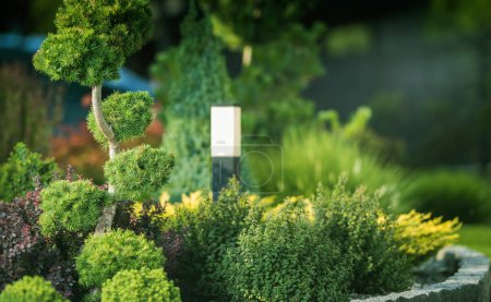 Téléchargez les photos : Beau jardin résidentiel plein d'arbres décoratifs avec poteau lumineux LED installé - en image libre de droit