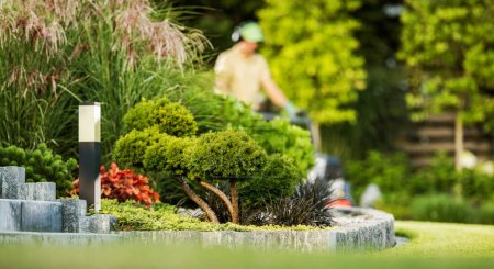 Photo for Scenic Residential Back Yard Garden. Garden Keeper in the Background Performing Maintenance - Royalty Free Image