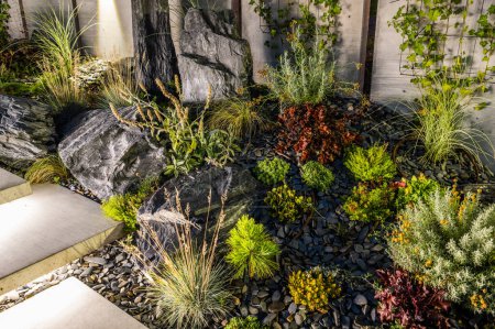 Téléchargez les photos : Jardin rocheux élégant moderne éclairé par la lumière LED extérieure. Thème Jardinage et Aménagement paysager. - en image libre de droit