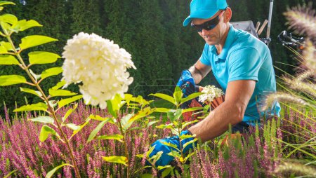 Téléchargez les photos : Des plantes de jardin taille effectué par travailleur de jardin caucasien dans sa quarantaine. Entretien de l'heure d'été. - en image libre de droit