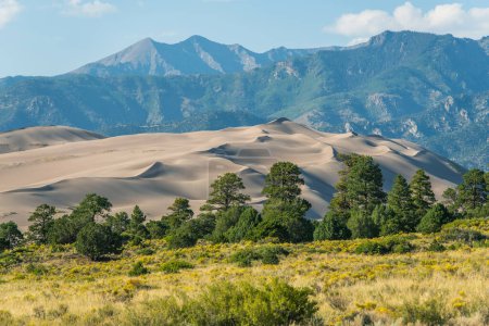 Téléchargez les photos : Colorado Great Sand Dunes National Park aux États-Unis d'Amérique. Panorama panoramique. - en image libre de droit