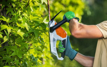 Landscaping Worker Shaping Garden Trees Using Hedge Trimmer Close Up