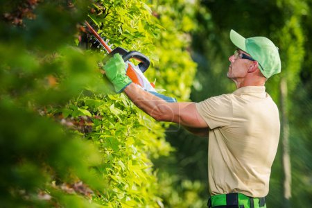 Professional Garden Worker in His 40s Shaping Tree Using Cordless Shrub Trimmer