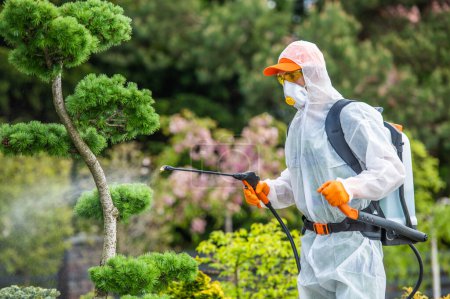 Photo for Gardener in a protective suit spraying a tree with a sprayer. - Royalty Free Image