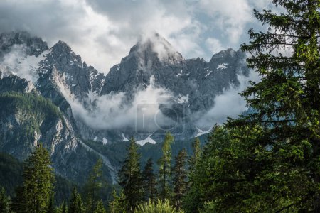 A scenic view of a mountain range in Slovenia, with snow-capped peaks and a thick layer of clouds swirling around them. The foreground features a dense forest of pine trees, adding depth and texture to the image. The cloudy sky enhances the dramatic 