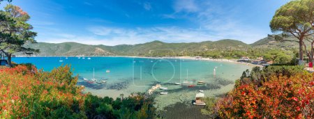 Photo for Landscape with Laconella beach, Lacona region, Elba Island, Tuscany, Italy - Royalty Free Image