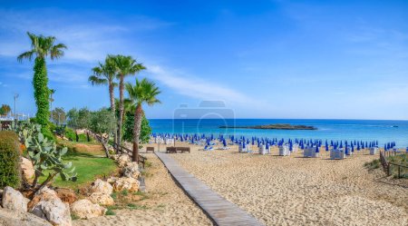Téléchargez les photos : Paysage avec Fig Tree Bay à Protaras, Chypre - en image libre de droit
