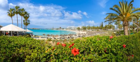 Foto de Paisaje con playa Nissi, Ayia Napa, isla de Chipre - Imagen libre de derechos
