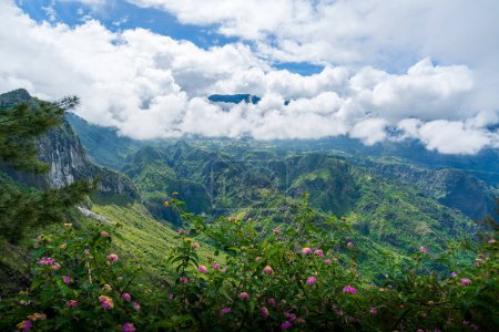 Téléchargez les photos : Paysage avec la montagne Piton des Neiges, île de la Réunion - en image libre de droit