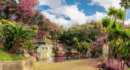 Téléchargez les photos : Paysage avec jardin tropical dans le Monte Palace, Funchal, île de Madère - en image libre de droit