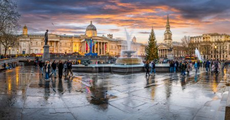 Téléchargez les photos : Londres, Royaume-Uni - 25 novembre 2023 : Crépuscule à Trafalgar Square avec des nuances de coucher de soleil doré, reflétant les rues humides capturant le charme vibrant de Londres en soirée au moment de Noël - en image libre de droit