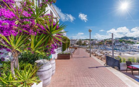 Photo for Stroll the vibrant promenade of Cala Ratjada, Mallorca, where the charm of a historic fishing port meets modern leisure in a stunning seaside setting. - Royalty Free Image