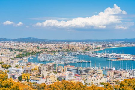Photo for Palma de Mallorca aerial view reveals a vibrant cityscape, historic landmarks, and a bustling marina on the sun-drenched Balearic coast. - Royalty Free Image