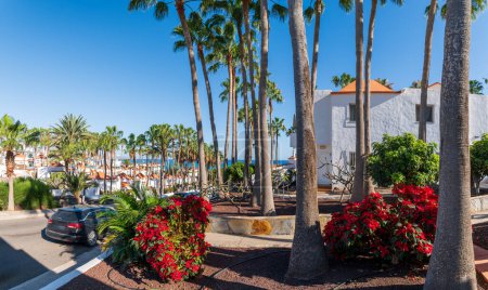 Foto de Costa Calma, Fuerteventura: exuberantes avenidas bordeadas de palmeras y floraciones vibrantes enmarcan una tranquila ciudad turística, encarnando la serenidad de la isla. - Imagen libre de derechos