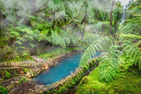 Descubra las tranquilas aguas termales de Caldeira Velha, ubicadas en las exuberantes colinas cubiertas de helechos de Sao Miguel, que ofrecen un refugio sereno en las Azores.