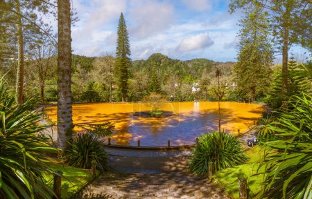 Sumérgete en las únicas aguas férreas del Parque Terra Nostra, Sao Miguel, un remanso de aguas termales en medio de los verdes jardines de Azores.