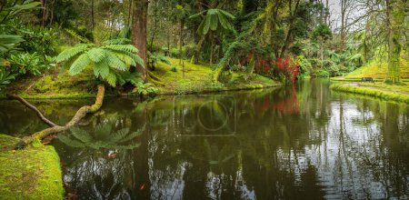 Entdecken Sie die friedliche Atmosphäre des Parque Terra Nostra reflektierenden Teichs, umgeben von Sao Miguel Grün und Azoren ruhigen Charme.