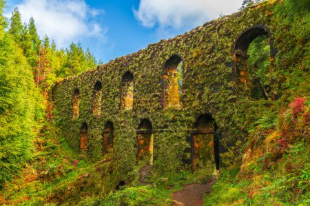 Descubre el Muro das Nove Janelas, un misterioso acueducto cubierto de musgo ubicado en los exuberantes bosques de Sao Miguel, una reliquia de la historia de Azores.