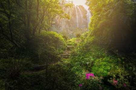 Discover Salto da Farinhas, a hidden gem in Sao Miguel lush forests, where a gentle waterfall creates a peaceful retreat amid vibrant greenery and florals