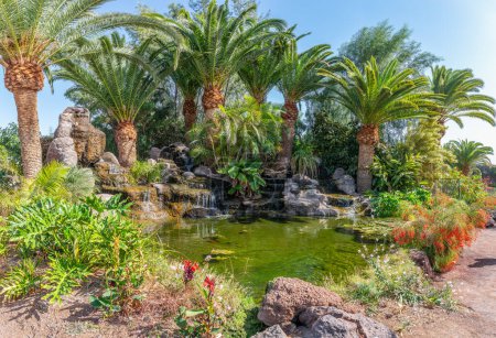 Beautiful tropical oasis in Fuerteventura featuring lush palm trees, a serene pond, exotic plants, and cascading waterfalls. Perfect for nature and garden enthusiasts.