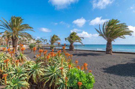 Landschaft mit Costa Teguise auf Lanzarote, Kanarische Inseln