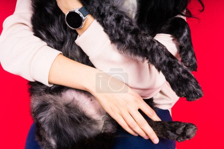 Téléchargez les photos : Joyeux dame brune dans une tenue décontractée étreignant chien de compagnie mudi, fond de studio. - en image libre de droit