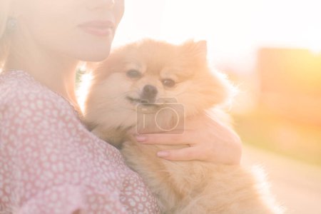 Photo for Close up portrait of smiling young attractive woman embracing Pomeranian spitz. - Royalty Free Image
