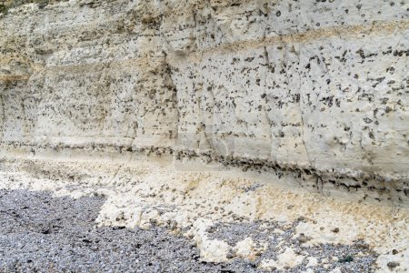 Chalk cliff closeup near Etretat, a commune in the Seine-Maritime department in the Normandy region of Northwestern France