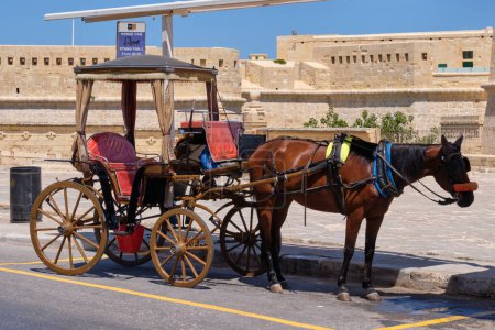 Foto de Horse-drawn carriage waiting for tourists - Valletta, Malta - Imagen libre de derechos