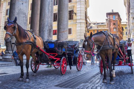 Téléchargez les photos : 23 juin 2014, Rome, Italie - Les célèbres charrettes à chevaux des botticelles de Rome déménagent dans les parcs. Les chevaux sont soumis à trop de stress et de pression sur les rues pavées chaudes de Rome
. - en image libre de droit