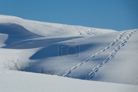 Téléchargez les photos : Montagnes enneigées, avec empreintes de pas dans la neige - en image libre de droit