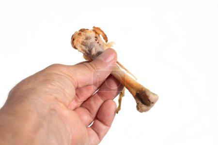  Main masculine tenant un os de poulet dépouillé sur un fond blanc