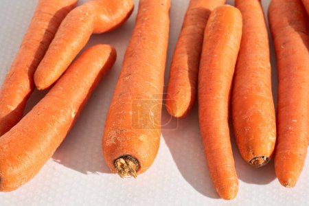 Close-up of carrots spread out on a white background