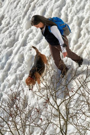                                 Dame avec un chien Beagle lors d'une randonnée dans la neige dans les montagnes